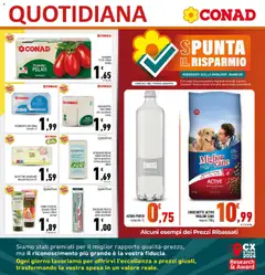 Anteprima del volantino SPAZZOLINO PRECISO CONAD ESSENTIAE setole dure/medie, Spazzolino preciso setole dure/medie valido a partire dal 17.06.2026 | Pagina: 25