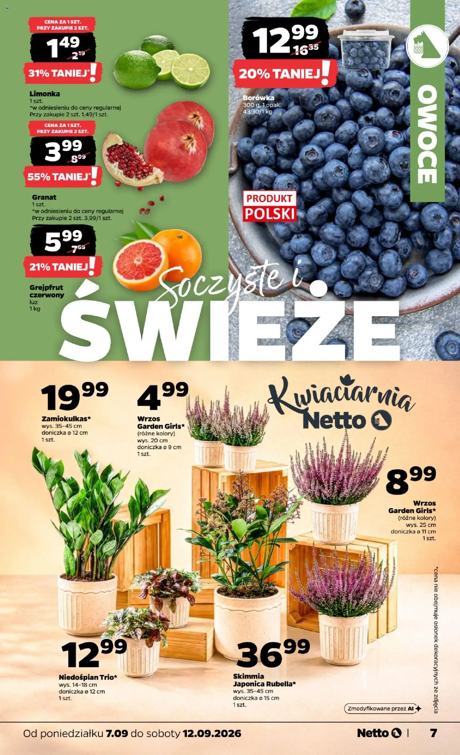 Netto gazetka od poniedziałku od 07.09.2026 | Strona: 7 | Produkty: Limonka, Wrzos, Doniczka, Owoce