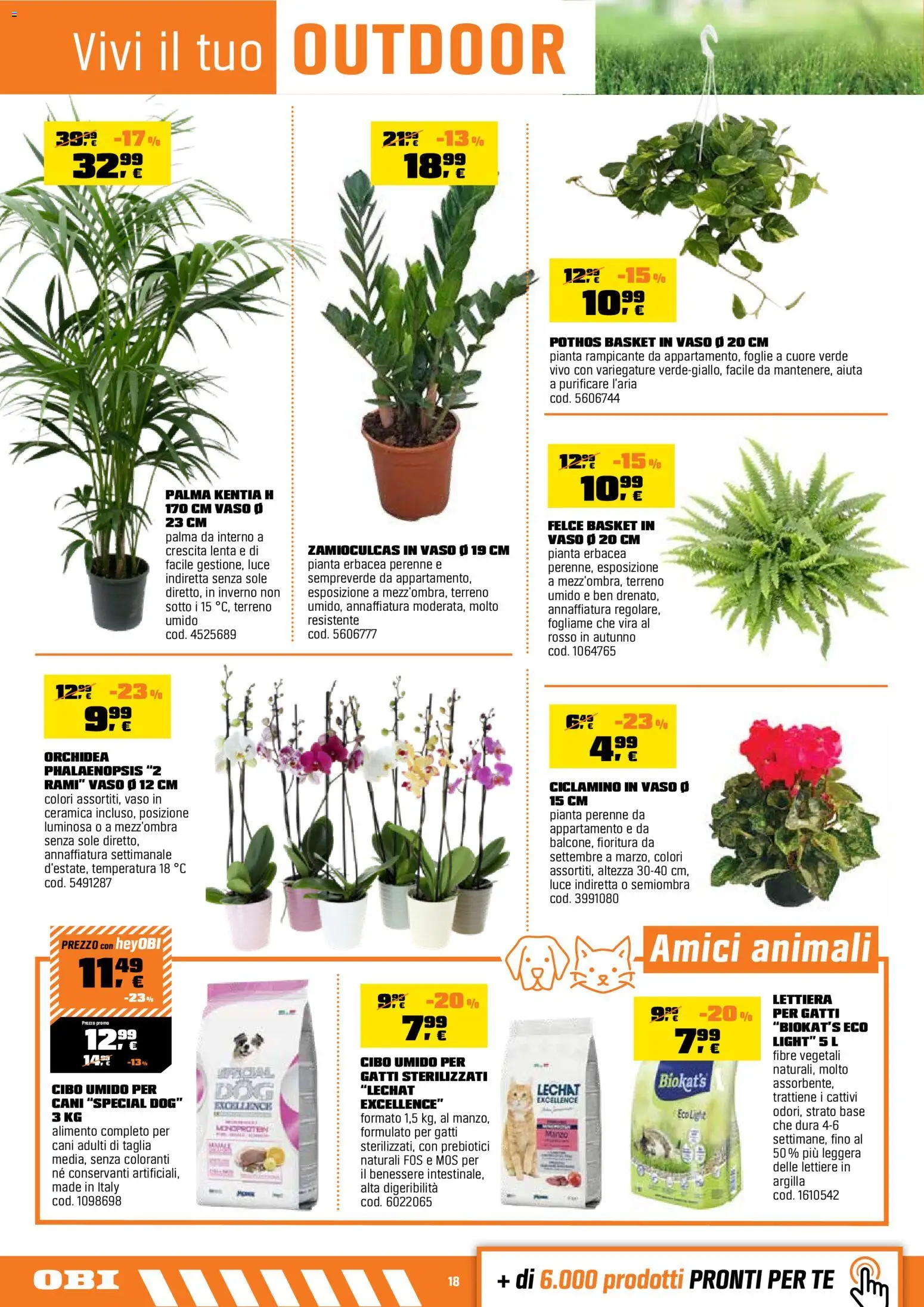 Volantino OBI del 15/10/2026 | Pagina: 18 | Prodotti: Lettiera per gatti, Tè, Orchidea, Vaso