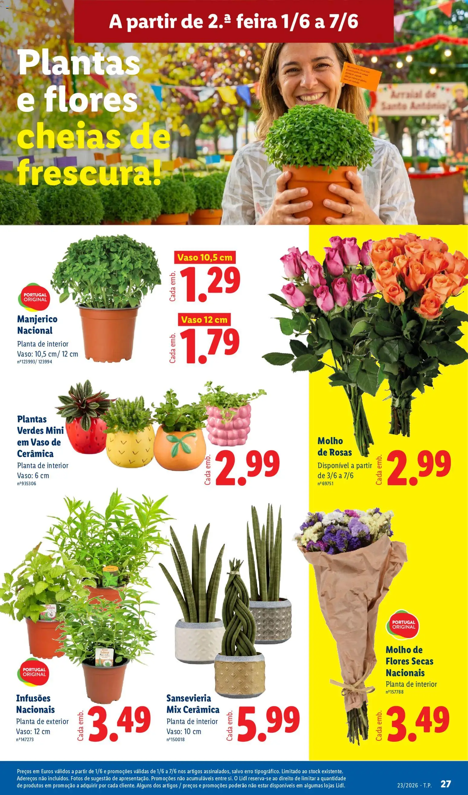 Lidl folheto │ válido de 01.06.2026 | Página: 27 | Produtos: Flores, Vaso