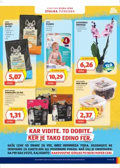 Hofer Katalog - Pregled kataloga iz trgovine Hofer SI, vrijedi od 29.04.2026 | Stranica: 9 | Proizvodi: Orhideja, Govedina, Losos, Briketi