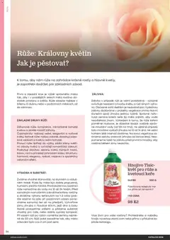 Náhled letáku Starkl katalog od 25.02.2026 | Strana: 96