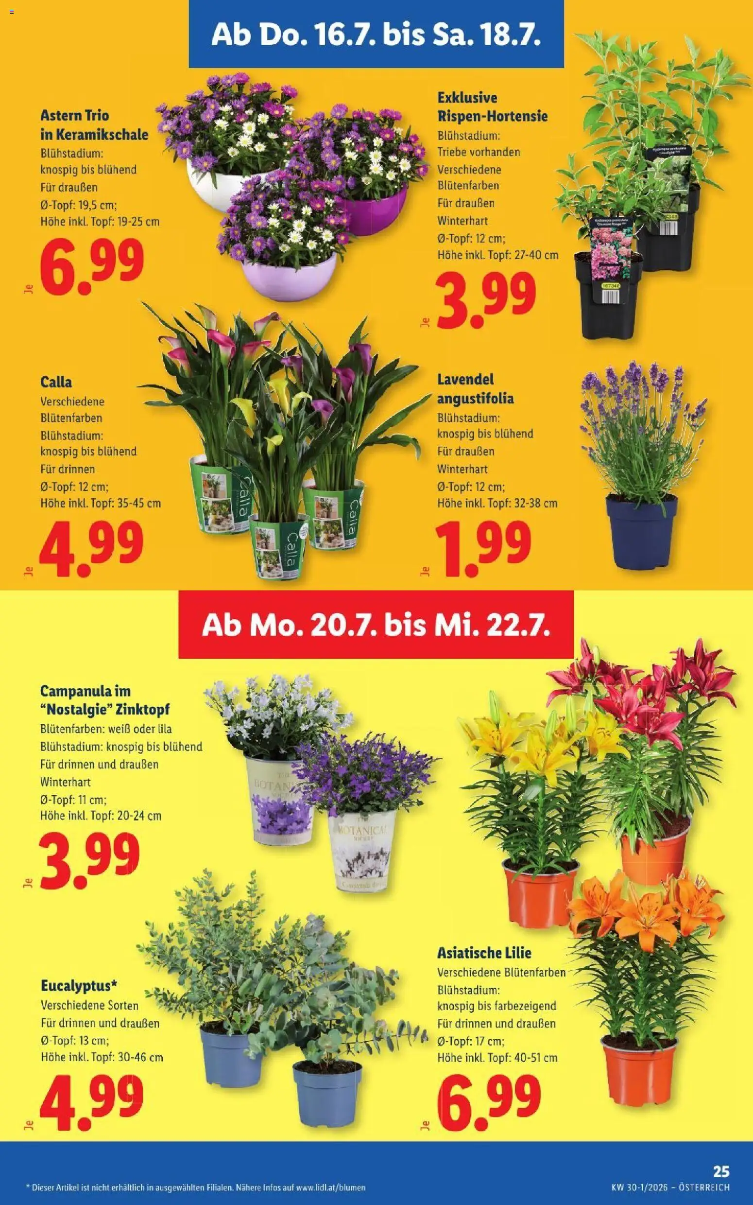 Lidl - Flugblatt gültig ab 16.07.2026 | Seite: 29