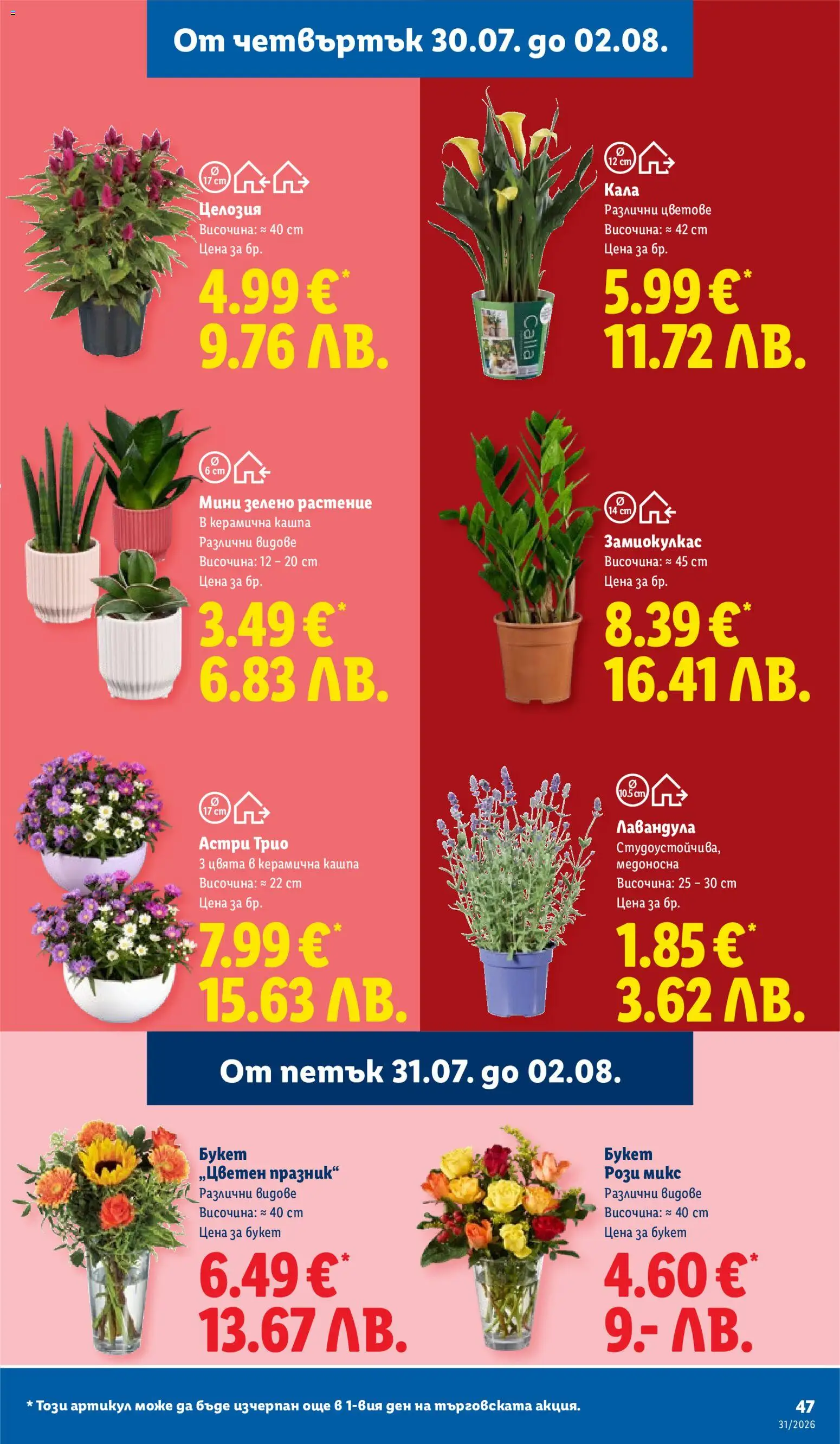 {H1} | Страница: 47 | Продукти: Кашпа