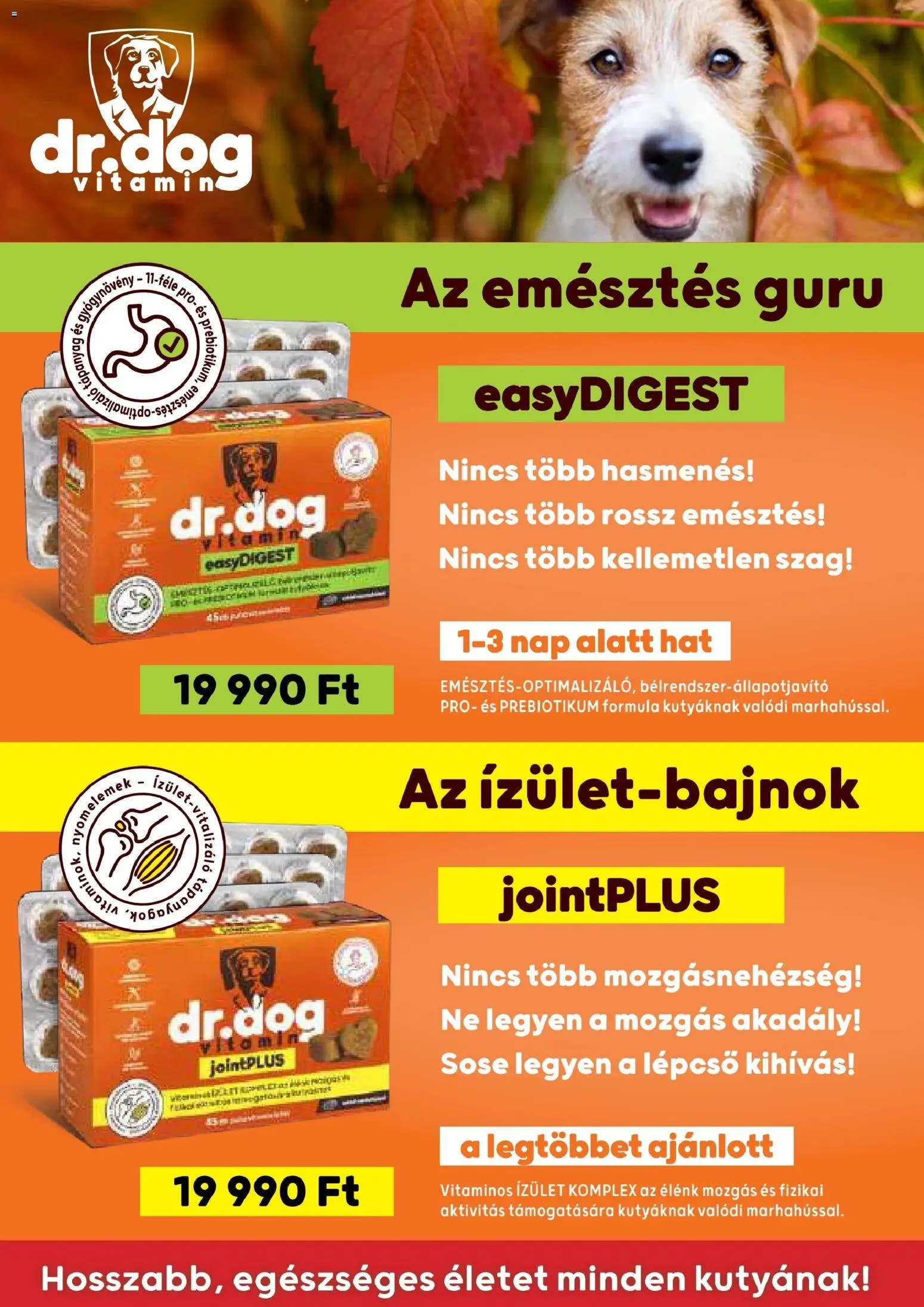 AlphaZoo akciós ujság - amely érvényes a következő dátumtól: 2026.08.21. | Oldal: 20 | Termékek: Vitamin