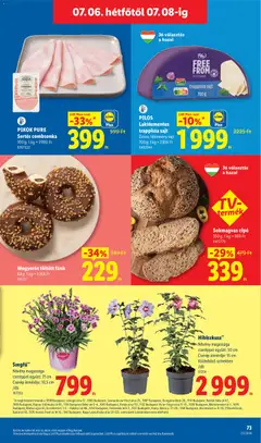 Lidl akciós újság - amely érvényes a következő dátumtól: 2026.07.02. | Oldal: 73