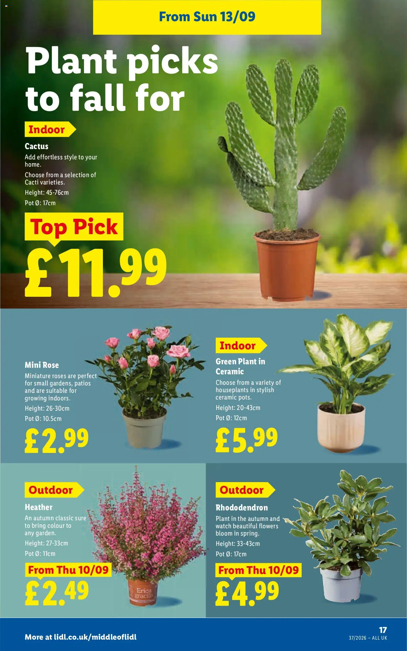 {H1} | Page: 19 | Products: Pot, Roses, Watch, Flowers