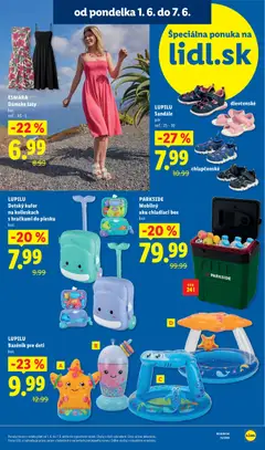 Lidl leták platný od 01.06.2026 | Strana: 13