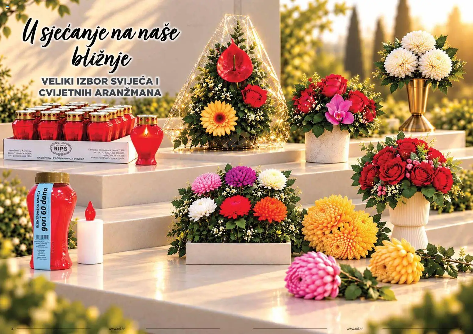 NTL katalog | vrijedi od 28.10.2026 | Stranica: 2
