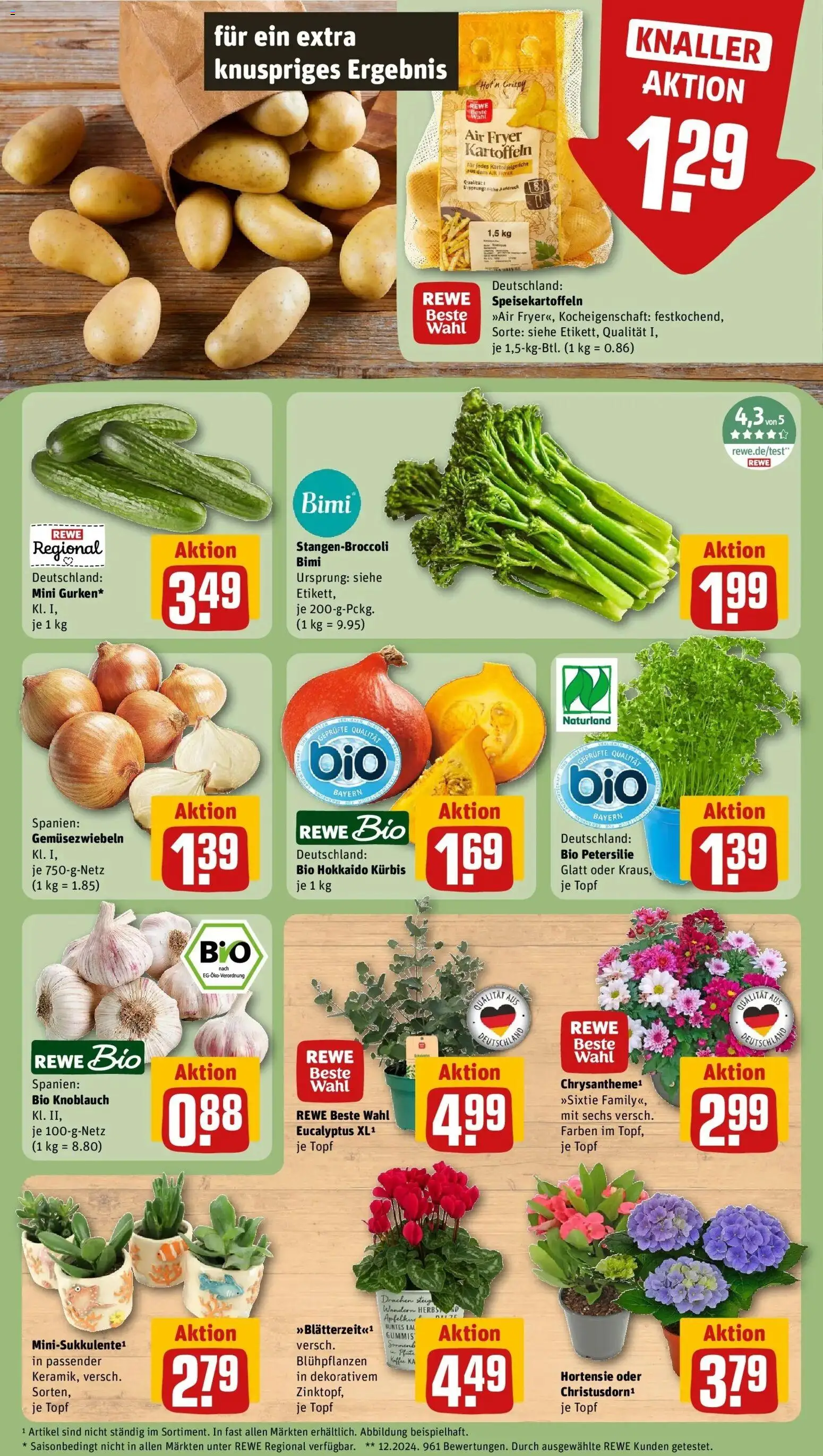 REWE Prospekt ab 24.08.2026 zum Blättern » Angebote | Seite: 7 | Produkte: Hortensie, Kartoffeln, Kürbis, Petersilie
