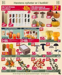 Forhåndsvisning av Europris kundeavis gyldig fra 24/08/2026 | Side: 4 | Produkter: Girlander, Batterier, Gresskar, Bordlampe