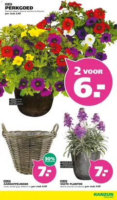 Ranzijn folder - Voorbeeld van een folder van Ranzijn, geldig van 10.05.2026 | Pagina: 2 | Producten: Pot