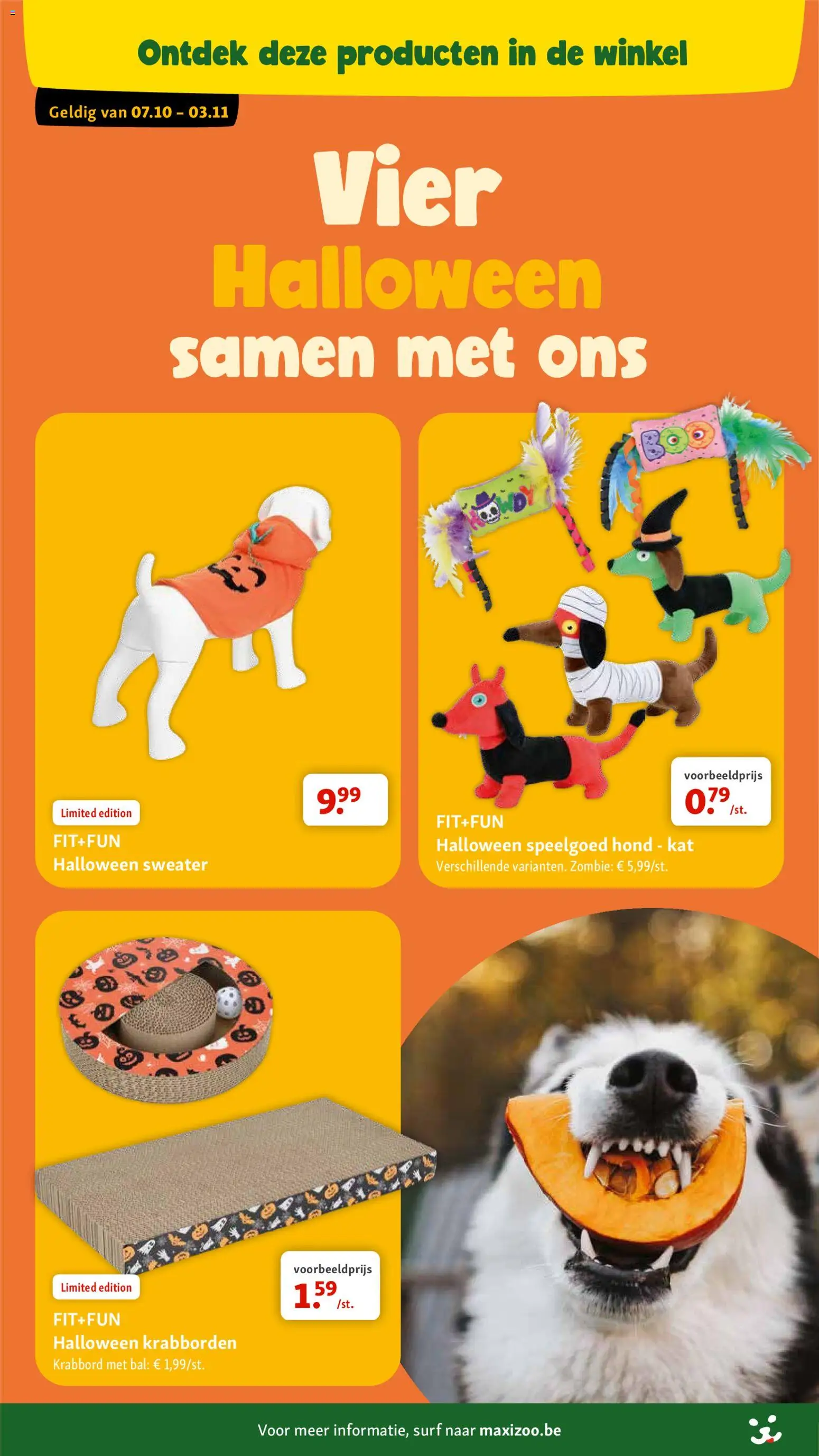 {H1} | Pagina: 13 | Producten: Sweater, Speelgoed, Bal
