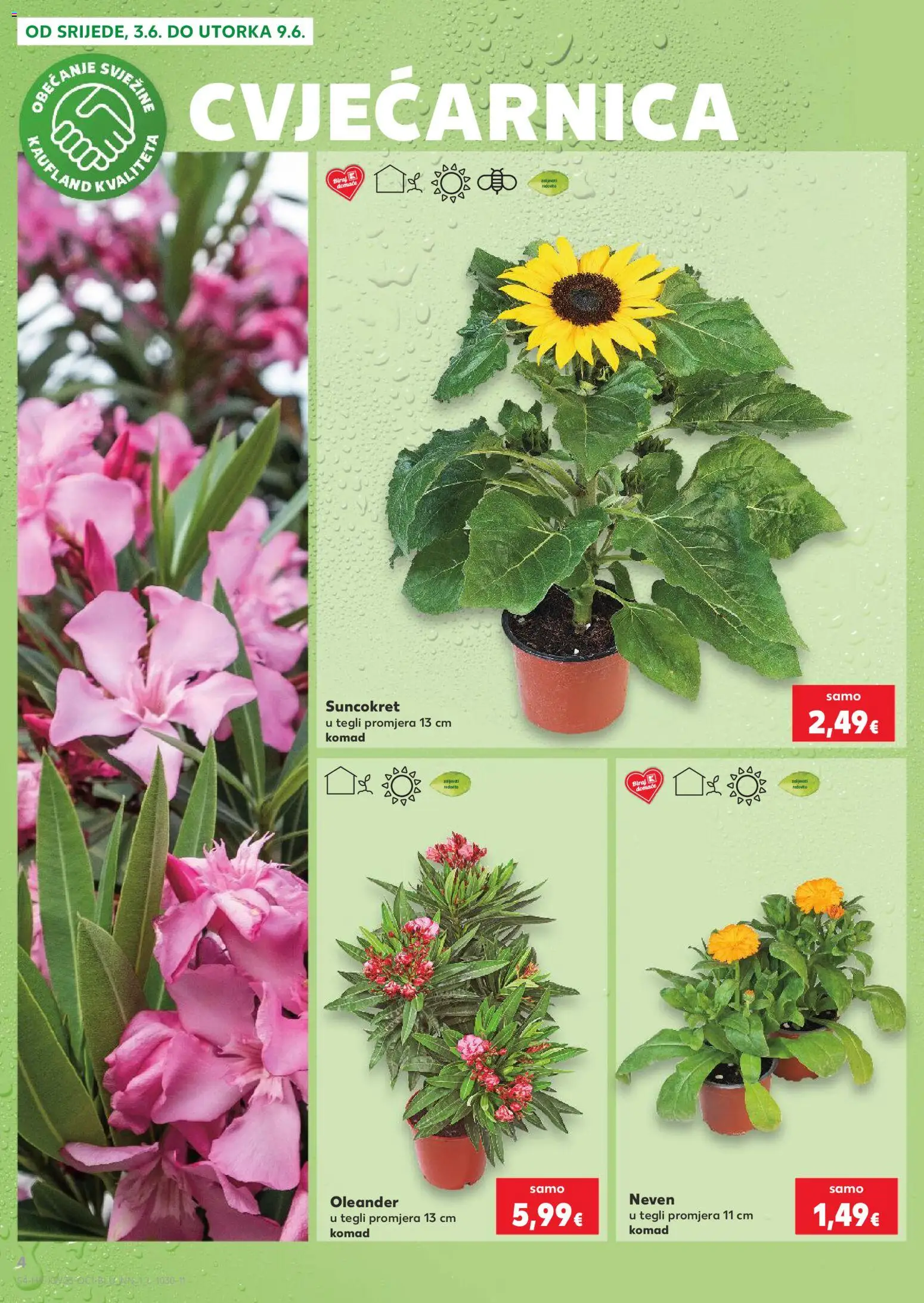 Kaufland katalog | vrijedi od 03.06.2026 | Stranica: 4 | Proizvodi: Suncokret