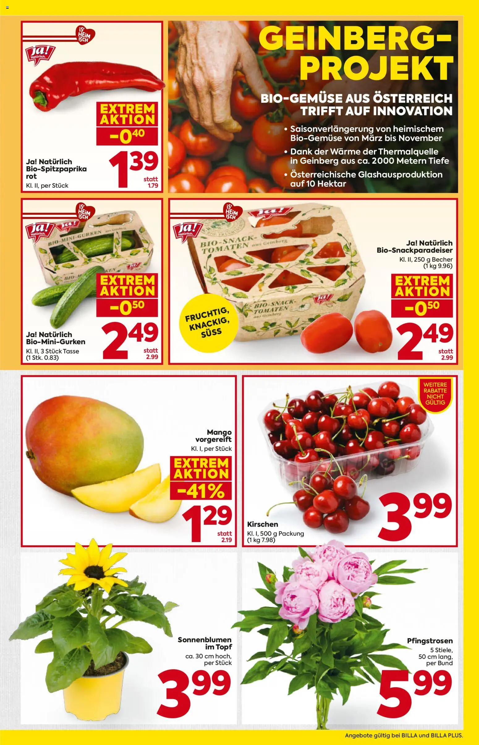 Billa Flugblatt - Oberösterreich gültig ab 21.05.2026 | Seite: 5 | Produkte: Mango, Tomaten