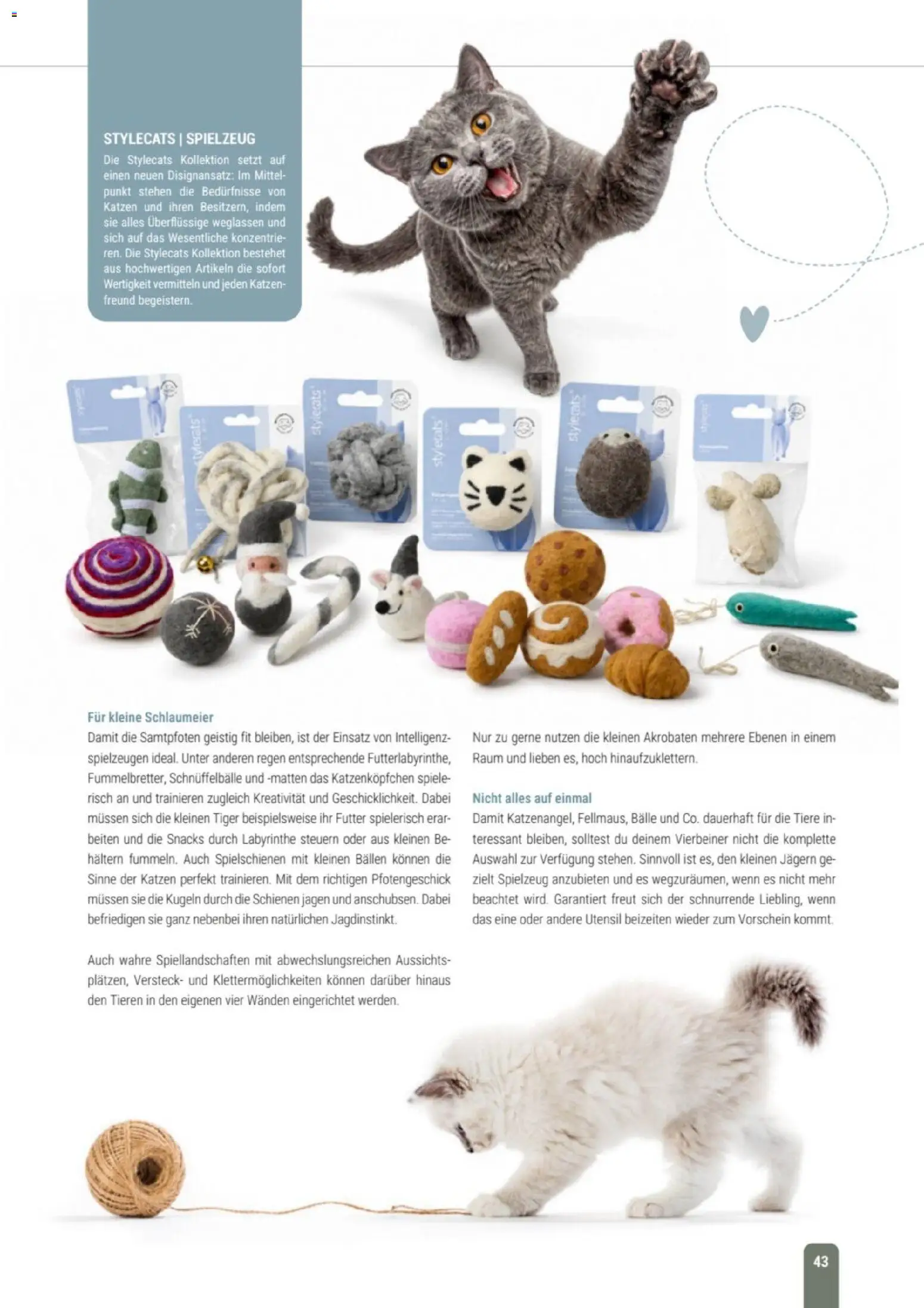 zookauf Themenkatalog Katze – gültig ab 01.10.2026 | Seite: 43
