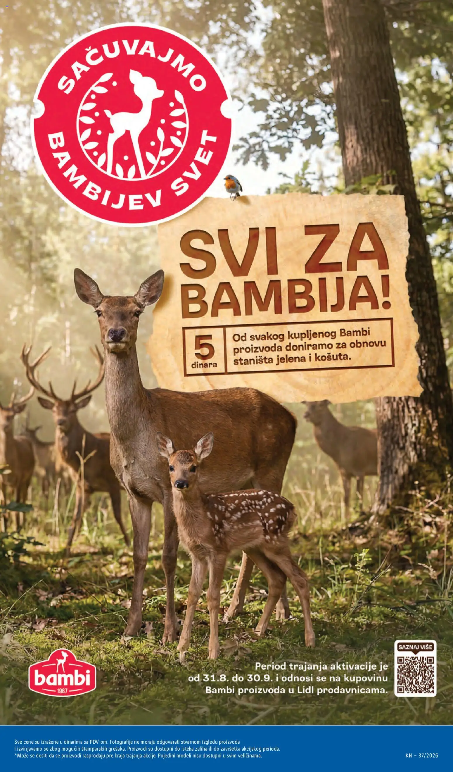 Lidl katalog - važi od 10.09.2026 | Strana: 53