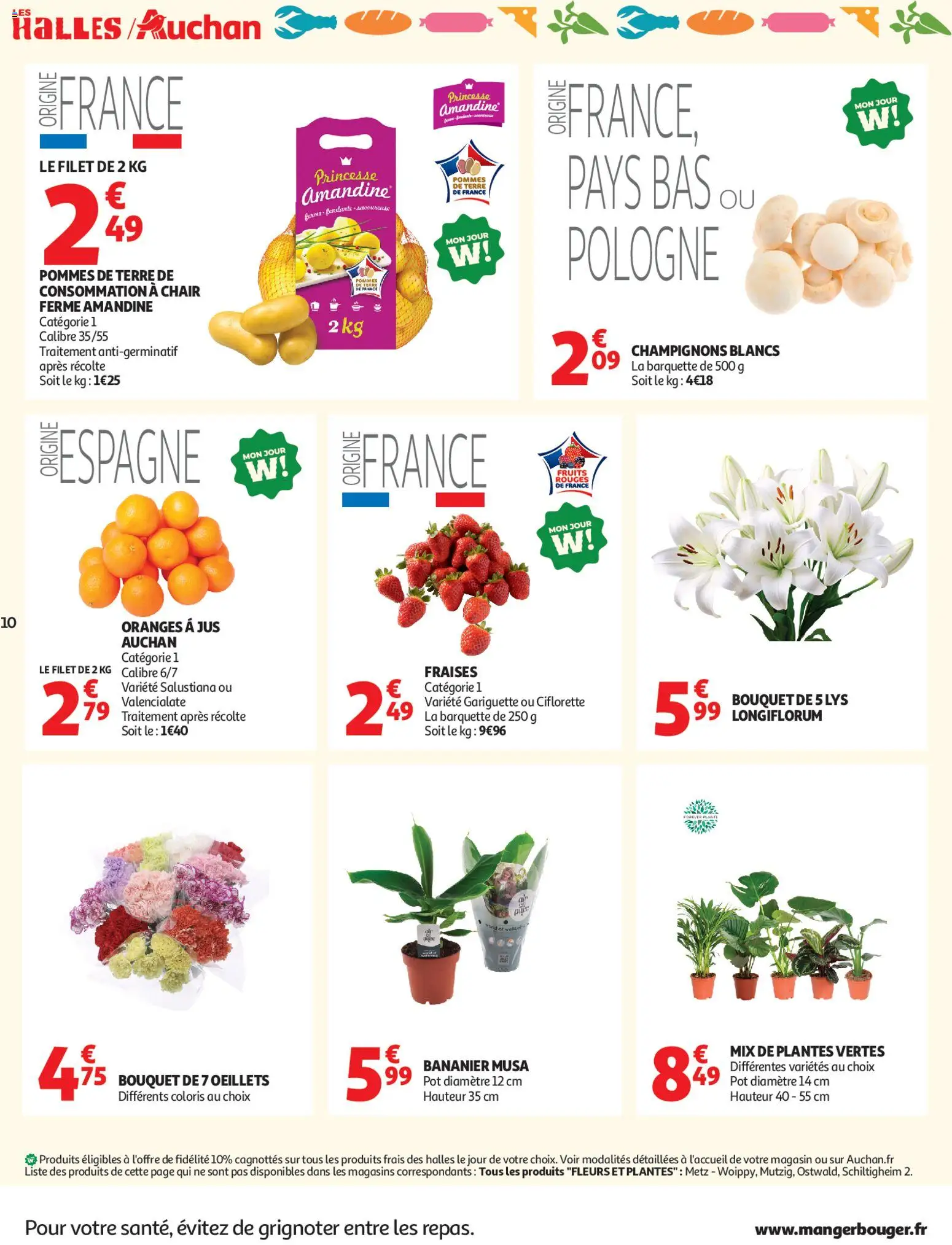 {H1} | Page: 10 | Produits: Bananier, Plantes, Fleurs et plantes, Pommes de terre