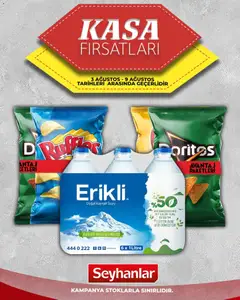 03 Ağustos 2026 tarihinden itibaren geçerli olan Seyhanlar Market kataloğu önizlemesi