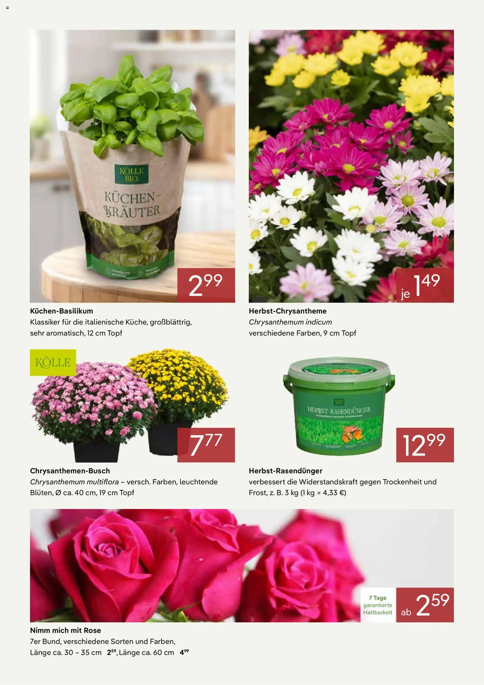 Pflanzen-Kölle Onlineflyer August – gültig ab 01.08.2026 | Seite: 2 | Produkte: Kuchen