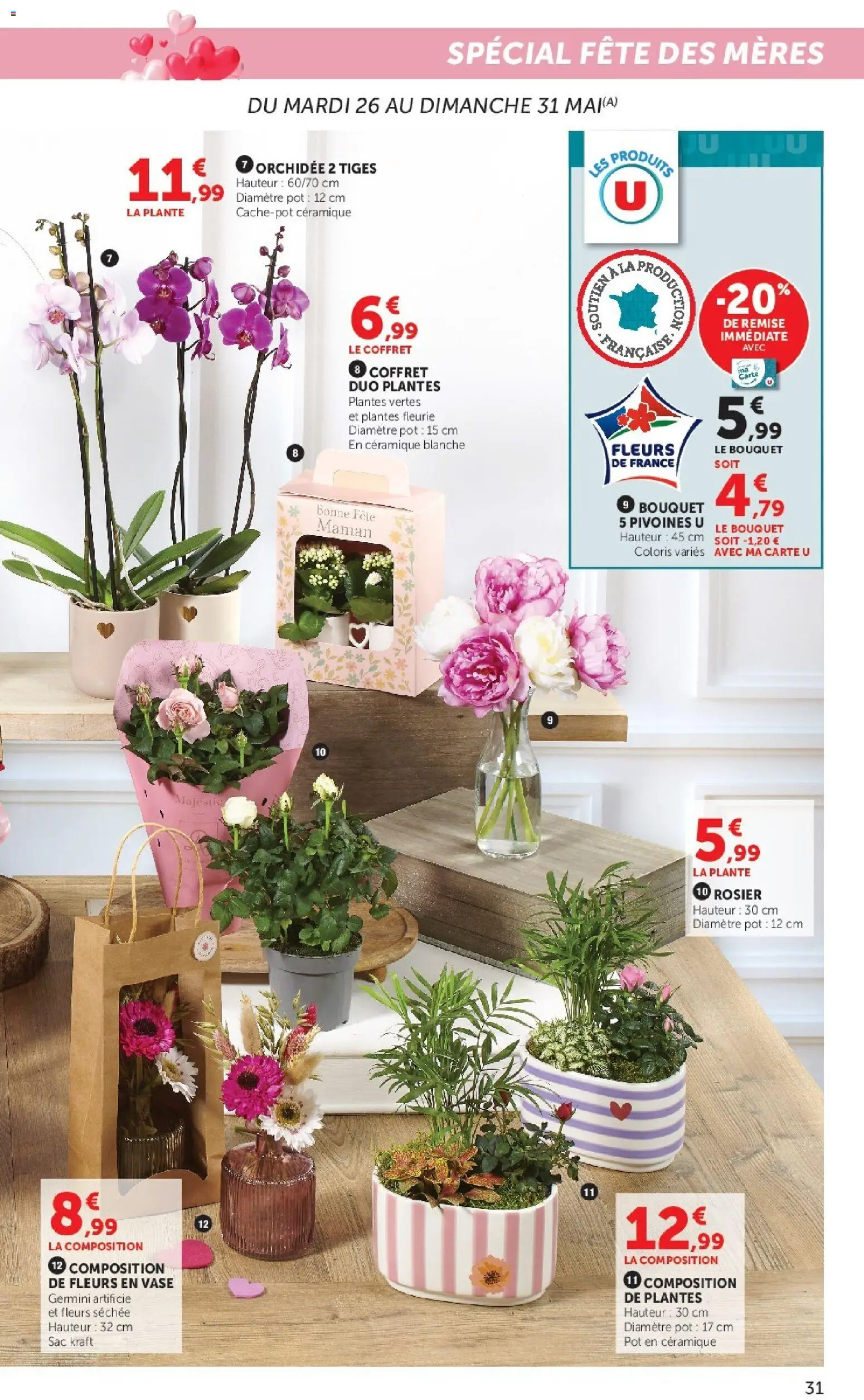 {H1} | Page: 31 | Produits: Rosier, Sac, Plantes, Orchidée