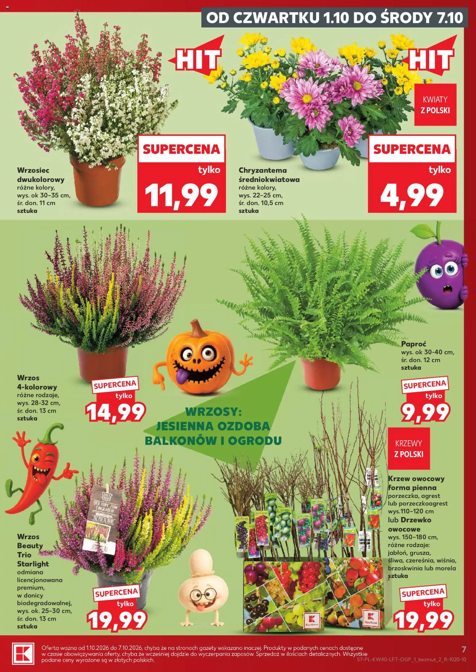 Kaufland gazetka od 01.10.2026 | Strona: 7