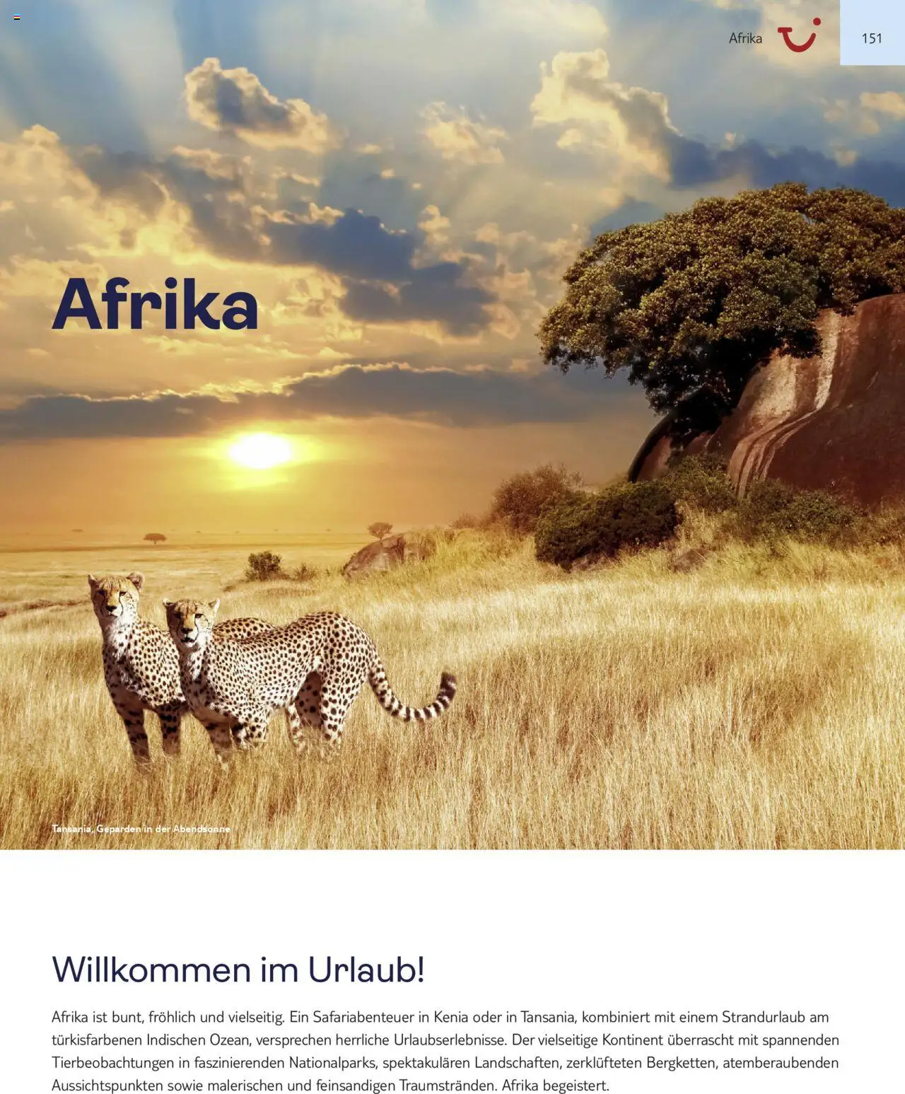 Aida - Asien, Afrika, Orient & Indischer Ozean 2025/26 – gültig ab 01.11.2025 | Seite: 151