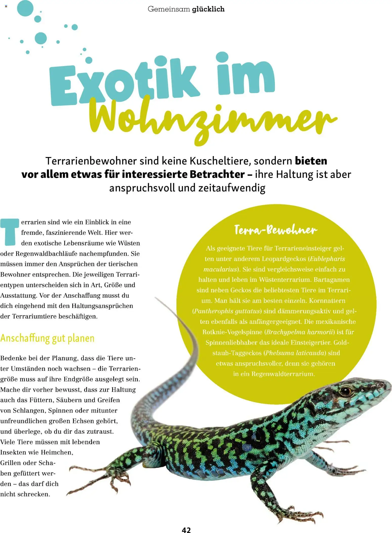 Fressnapf Friends Magazin – gültig ab 01.07.2026 | Seite: 42
