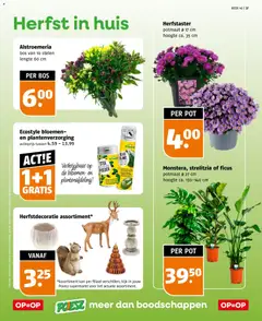 Poiesz folder - Voorbeeld van een folder van Poiesz, geldig van 27-09-2026 | Pagina: 37 | Producten: Pot, Kan, Bloemen, Poeder