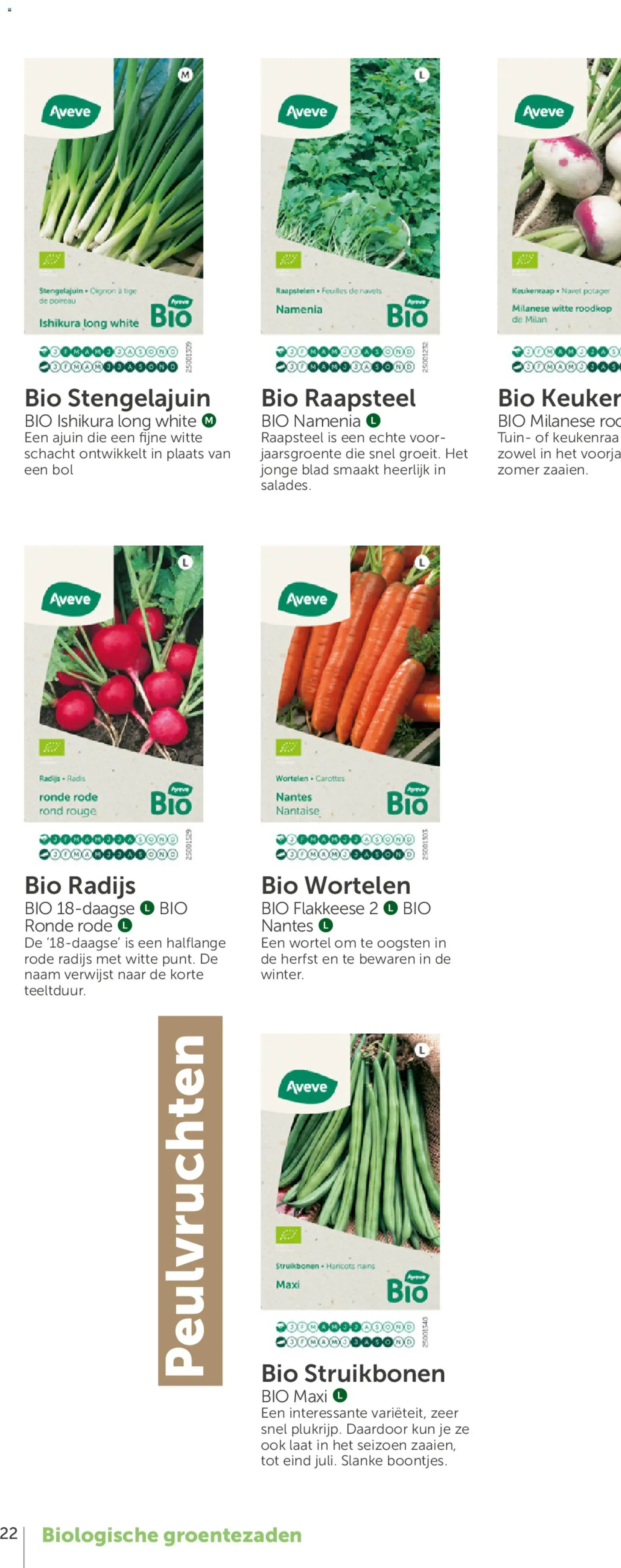 {H1} | Pagina: 42 | Producten: Een wortel, Bol, Wortelen
