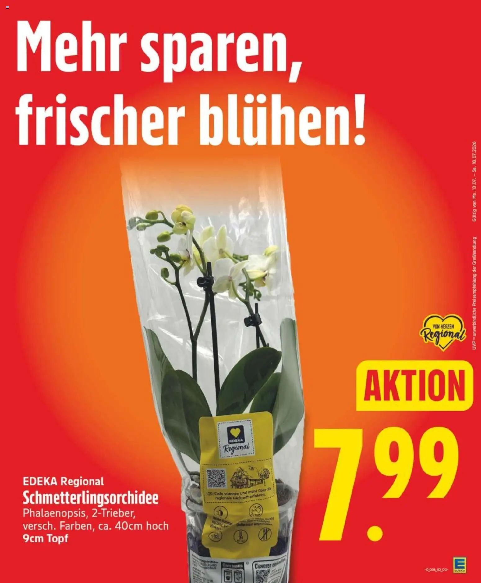 Edeka Prospekt Berlin – gültig ab 31.08.2026 | Seite: 5