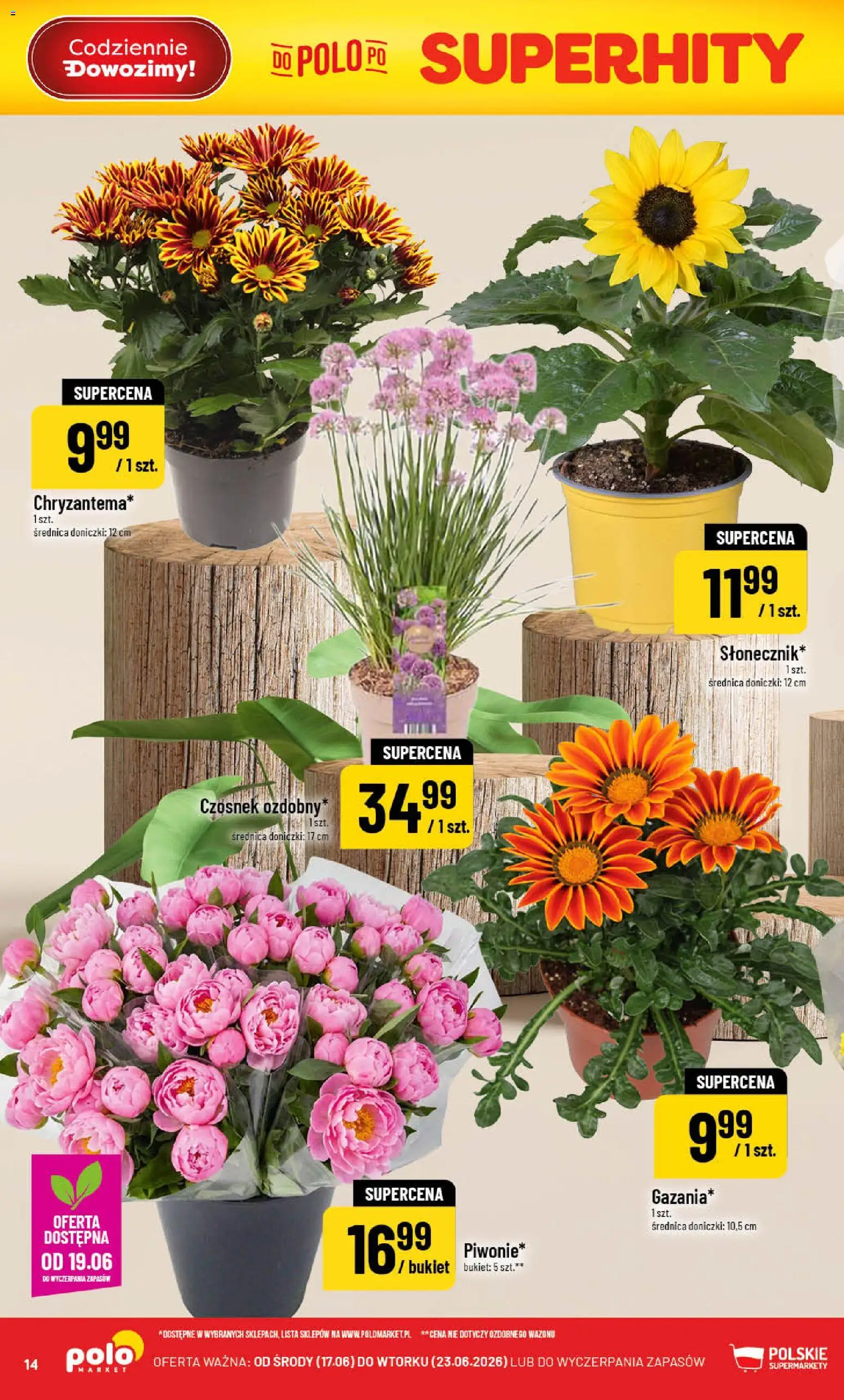 POLOmarket gazetka od 17.06.2026 | Strona: 14 | Produkty: Czosnek, Doniczki