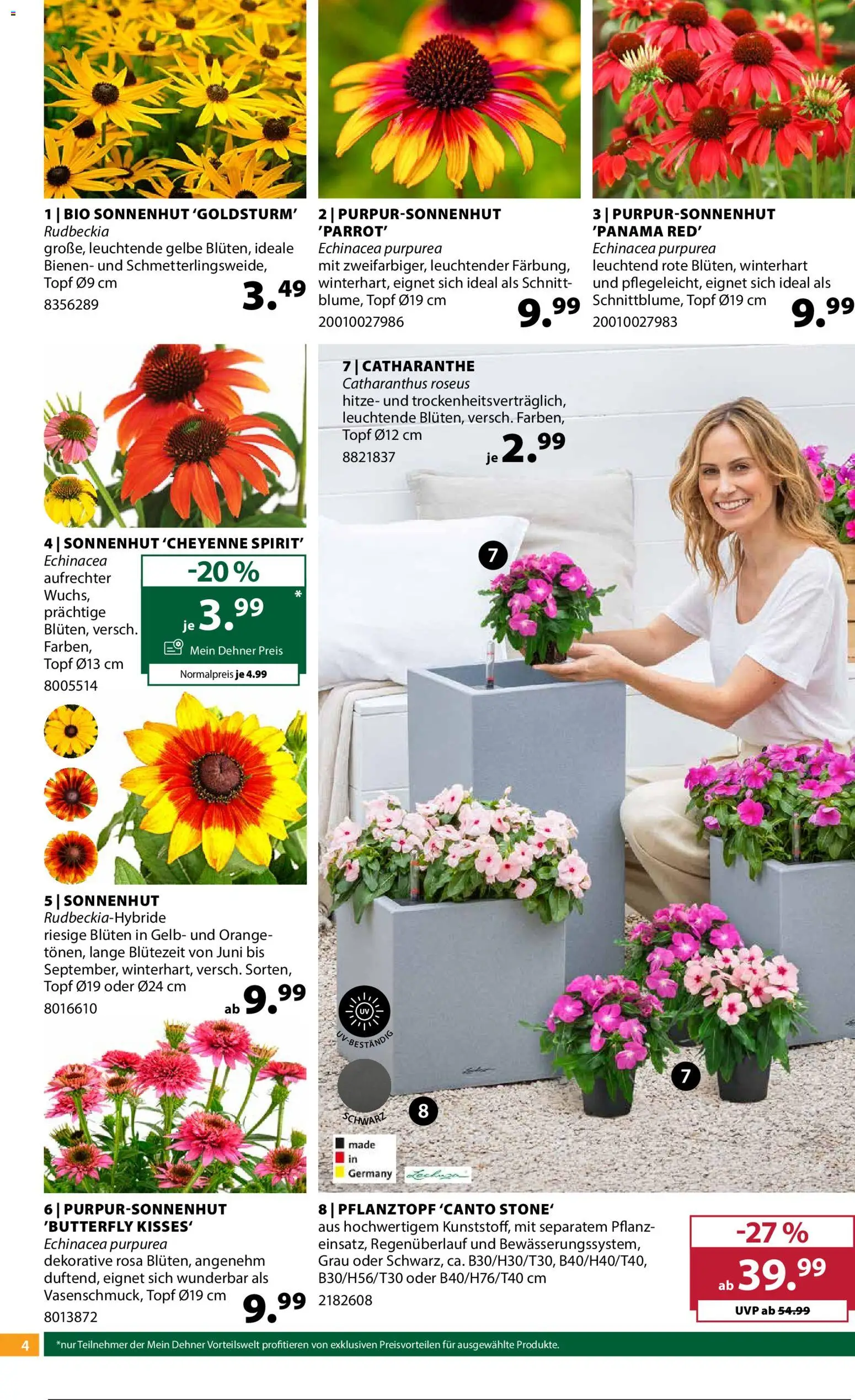 Dehner Flugblatt gültig ab 24.06.2026 | Seite: 4