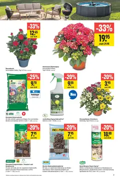Jumbo aktionen ab 30.07.2026 gültig | Seite: 7