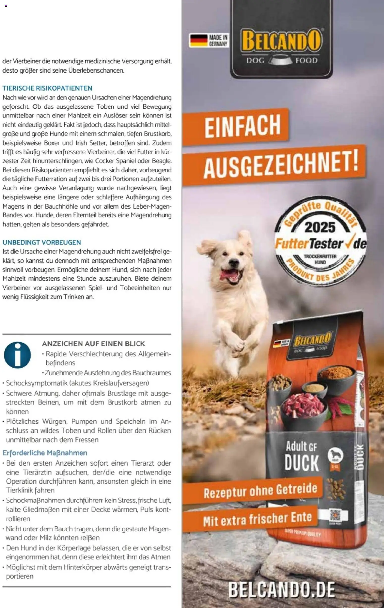 zookauf Heimtier Journal – gültig ab 01.06.2026 | Seite: 47 | Produkte: Spiel, Decke, Boxer, Getreide