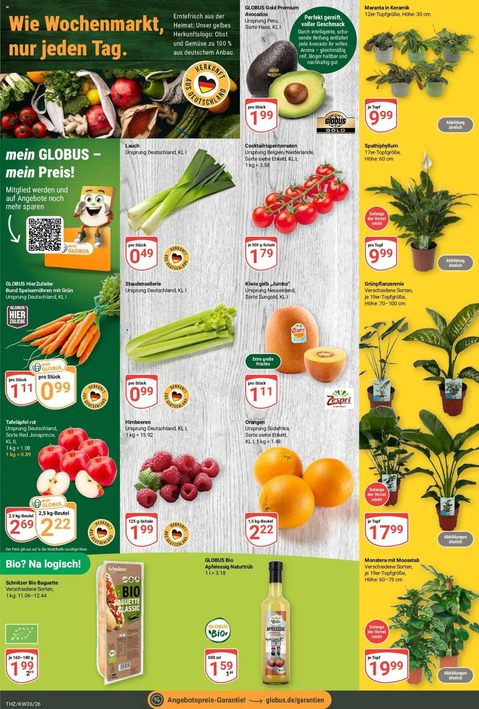 Globus Prospekt Theißen – gültig ab 31.08.2026 | Seite: 8 | Produkte: Orangen, Gemüse, Obst, Lauch
