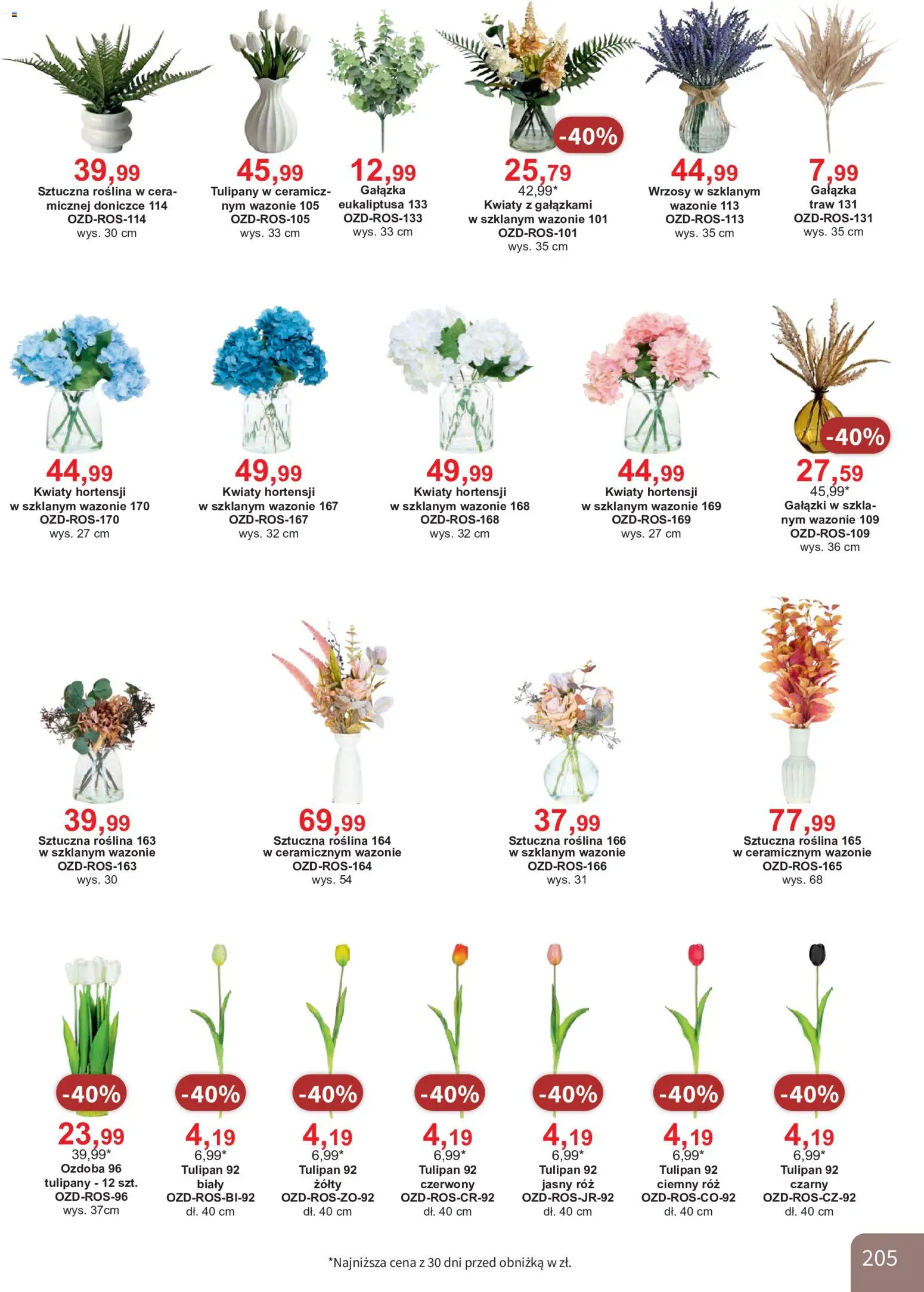 Bodzio Katalog od 01.08.2026 | Strona: 205 | Produkty: Róż, Tulipany, Kwiaty