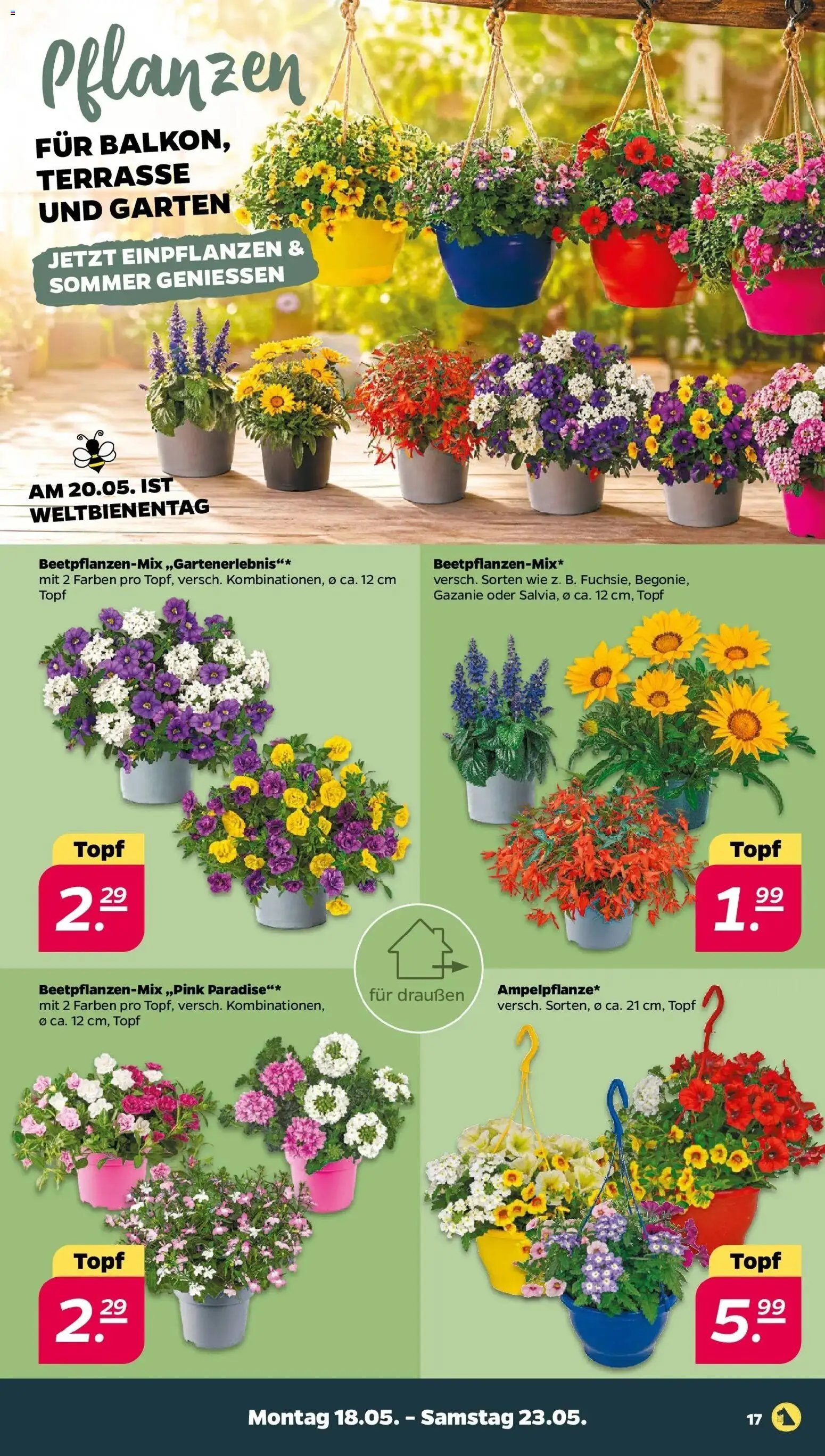 Netto Wochenangebote – gültig ab 18.05.2026 | Seite: 19