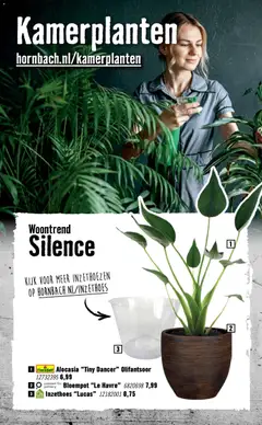 Hornbach folder - Voorbeeld van een folder van Hornbach, geldig van 05-10-2026 | Pagina: 61 | Producten: Kamerplanten