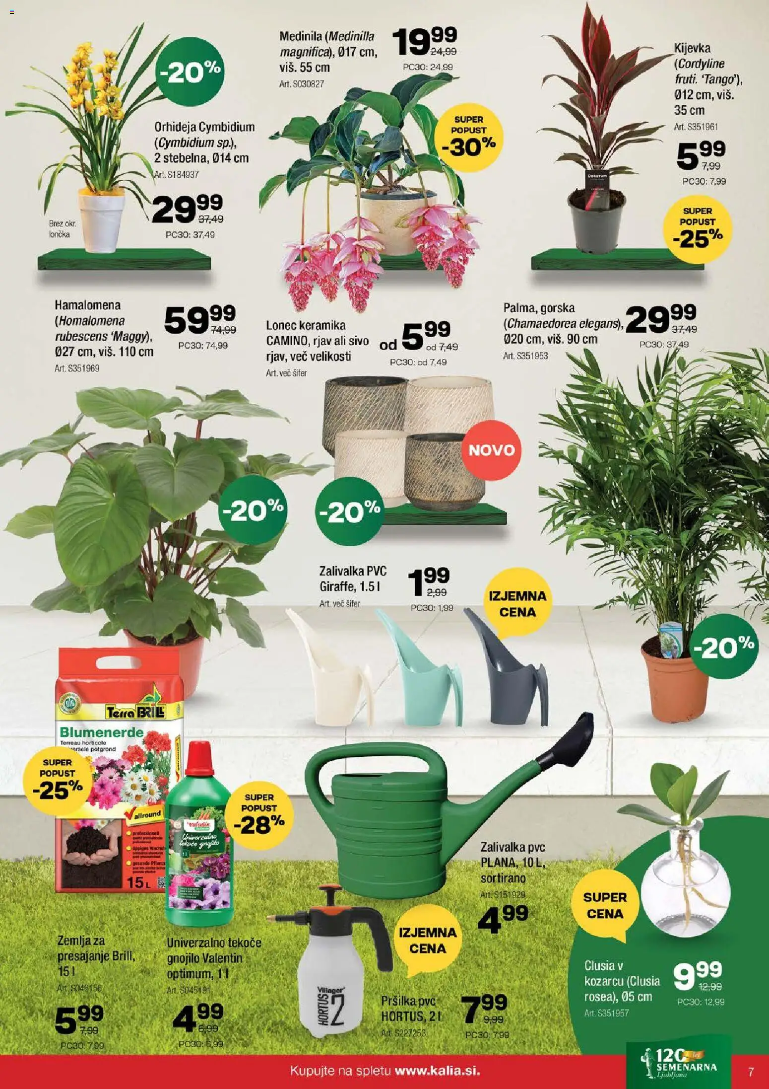 Novi Kalia katalog ponudbe – veljaven od 04.05.2026 | Stran: 7 | Izdelki: Žemlja