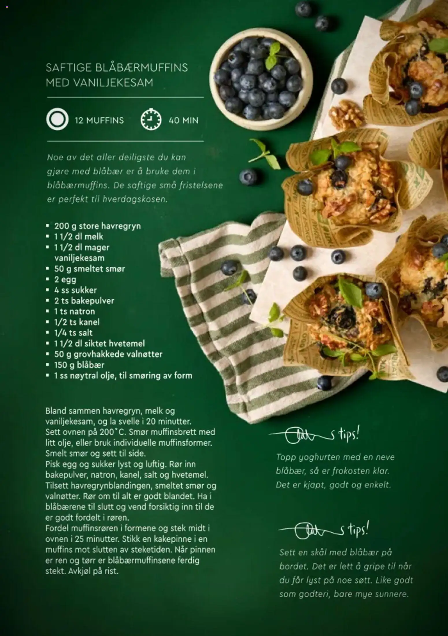 {H1} | Side: 5 | Produkter: Blåbær, Havregryn, Muffins, Salt