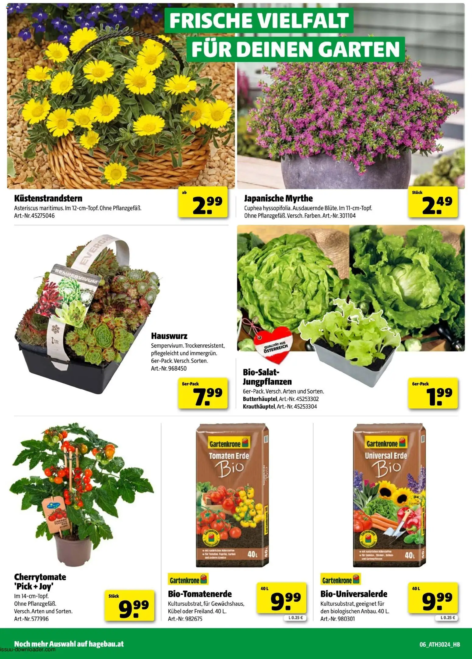 Hagebau Flugblatt gültig ab 01.06.2026 | Seite: 6 | Produkte: Gurken, Tomaten