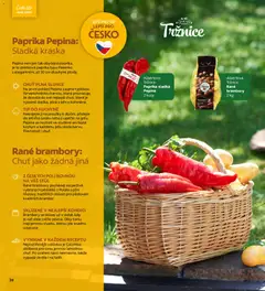 Náhled letáku Albert magazín od 01.07.2026 | Strana: 26 | Produkty: Paprika, Brambory, Stůl, Kuchyně