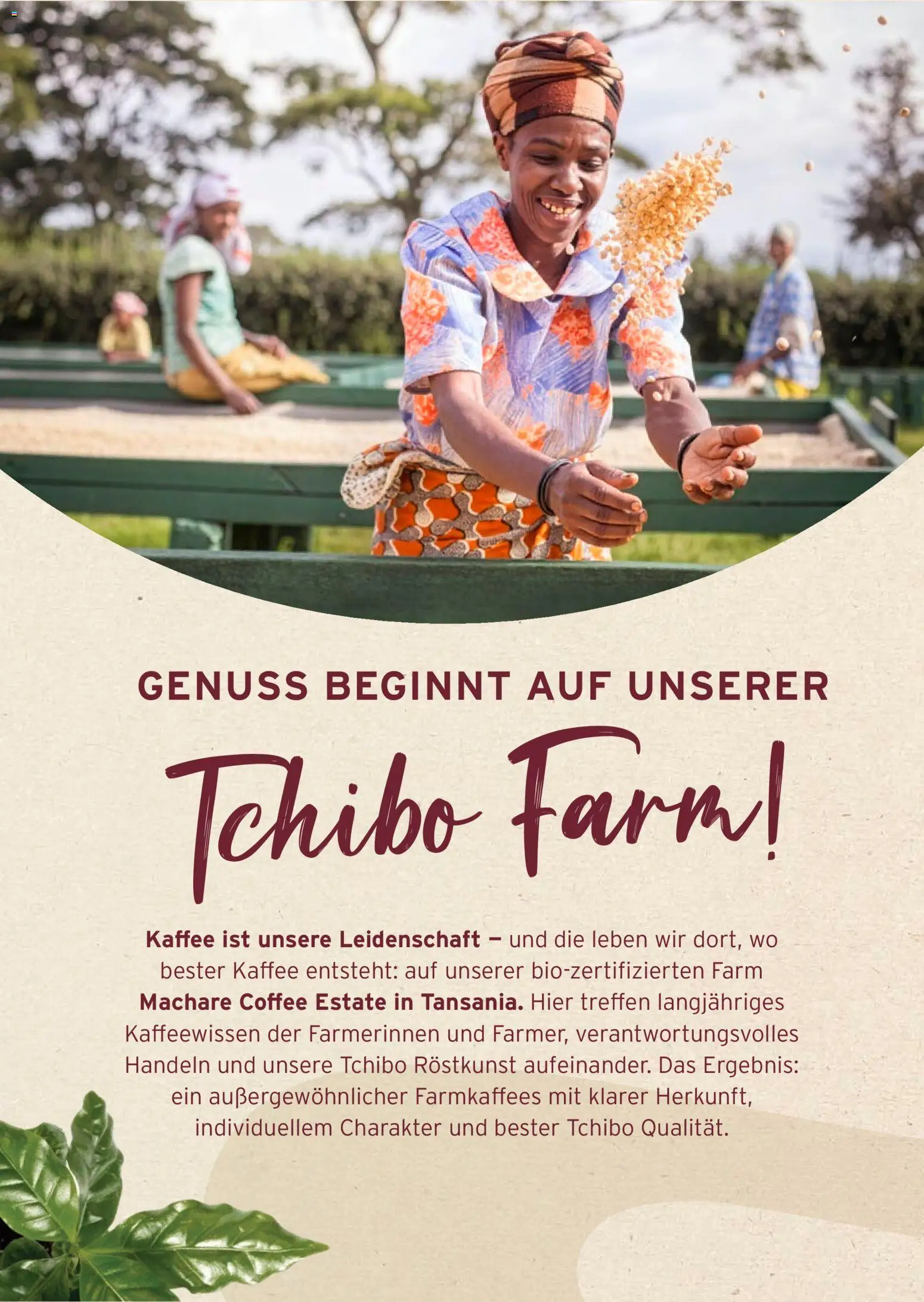Prospekt Tchibo Zeitlose Looks & Kreative Helfer – gültig ab 12.08.2026 | Seite: 28 | Produkte: Kaffee