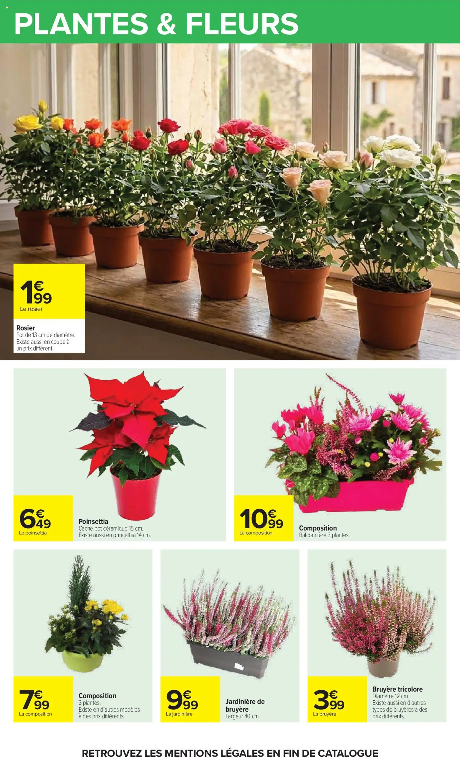 {H1} | Page: 28 | Produits: Poinsettia, Plantes, Fleurs, Jardinière