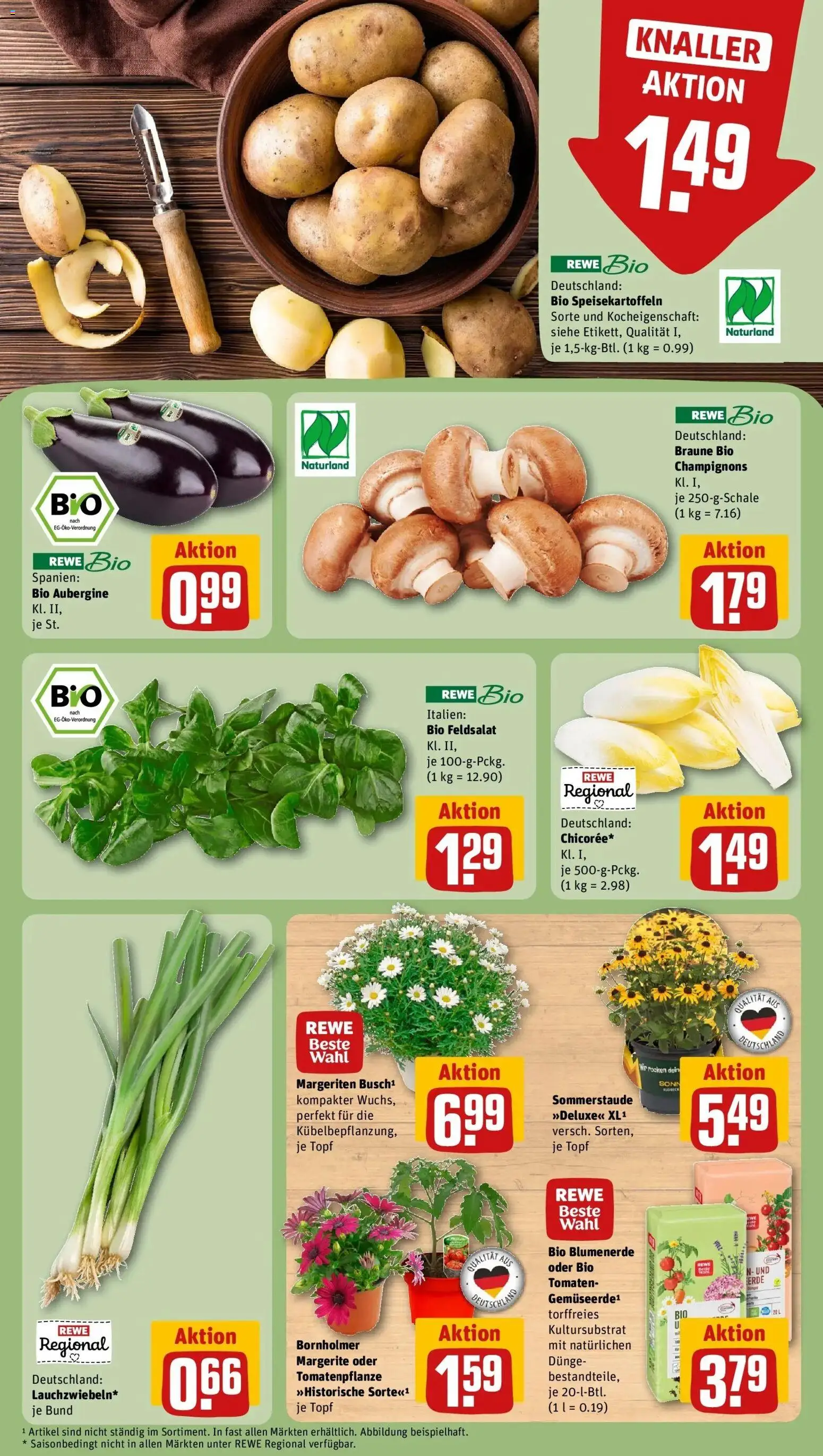 Rewe Prospekt Waiblingen / Kernstadt-Süd	 – gültig ab 27.04.2026 | Seite: 9 | Produkte: Tomaten, Blumenerde, Champignons, Aubergine