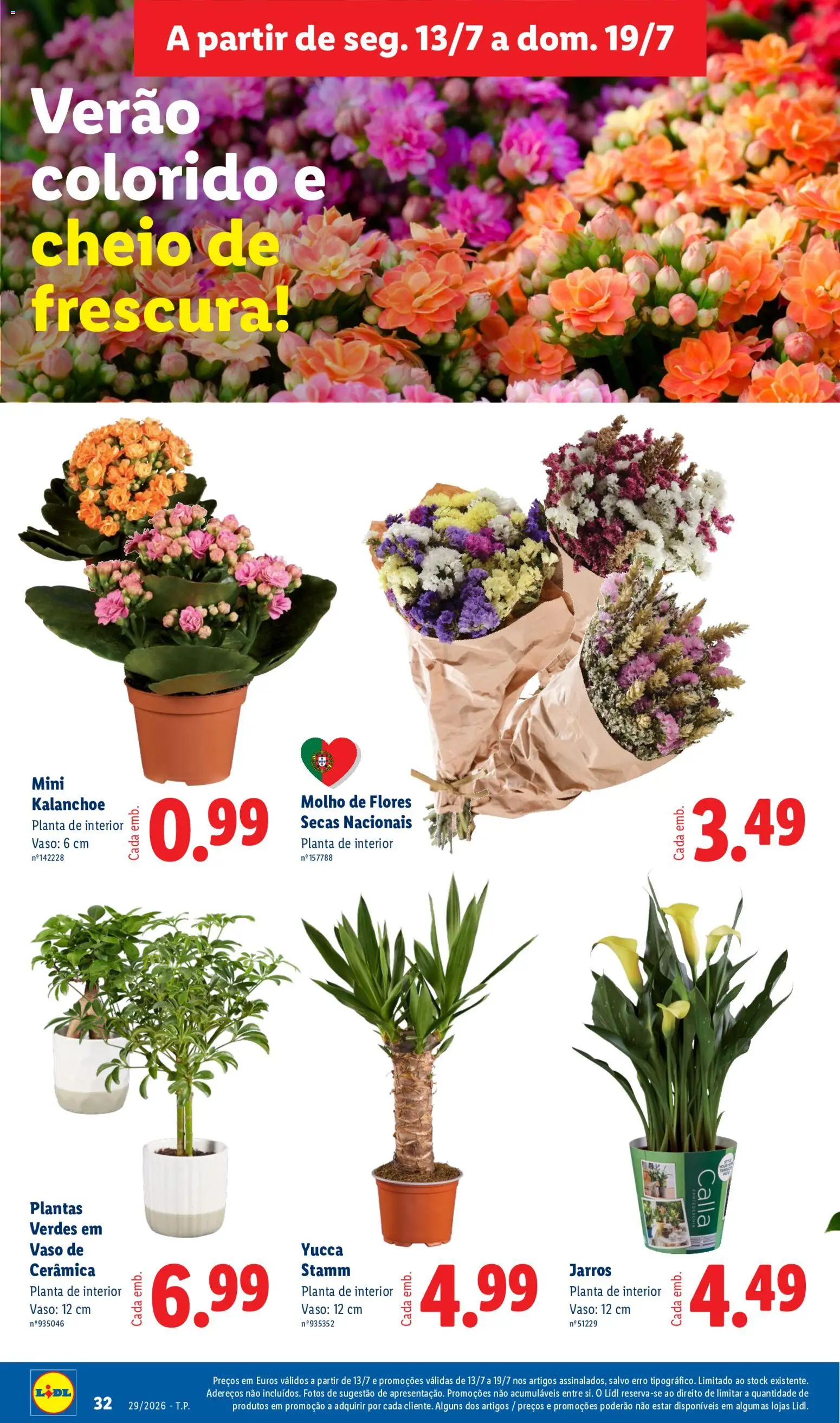 Lidl folheto │ válido de 13/07/2026 | Página: 30 | Produtos: Flores, Vaso