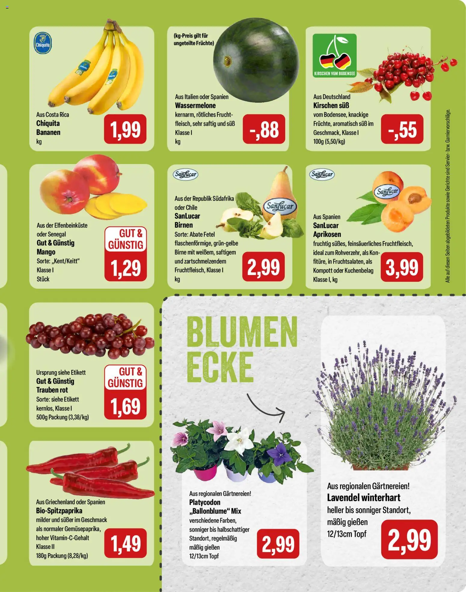 Feneberg Angebote – gültig ab 09.07.2026 | Seite: 9 | Produkte: Blumen, Bananen, Wassermelone, Lavendel