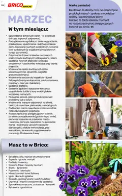 Pogląd oferty "Brico Marché gazetka - Wiosna" - ważna od 04.03.2026 | Strona: 124 | Produkty: Tunel foliowy, Bratki, Papryka, Doniczki