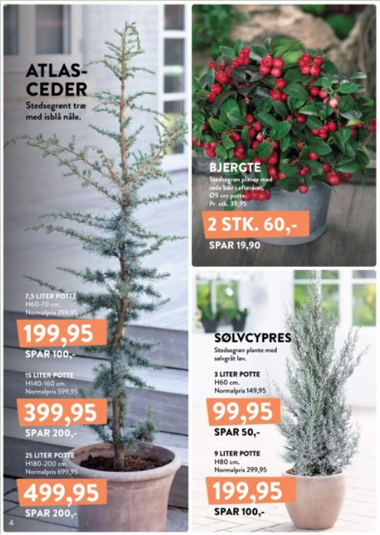 Plantorama tilbudsavis – gyldig fra 12/10/2026 | Side: 4